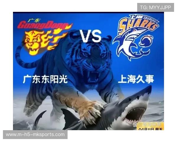 决战最后一轮，谁将进入季后赛？，季后赛决赛打几场